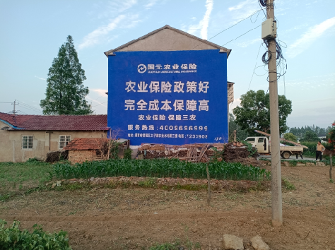 巴塘墙体广告的优劣势你知道吗？