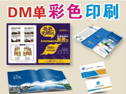 巴塘单页印刷，色彩搭配简单。